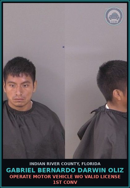 CCW arrest card for GABRIEL BERNARDO DARWIN OLIZ in Indian River County: OPERATE MOTOR VEHICLE WO VALID LICENSE 1ST CONV