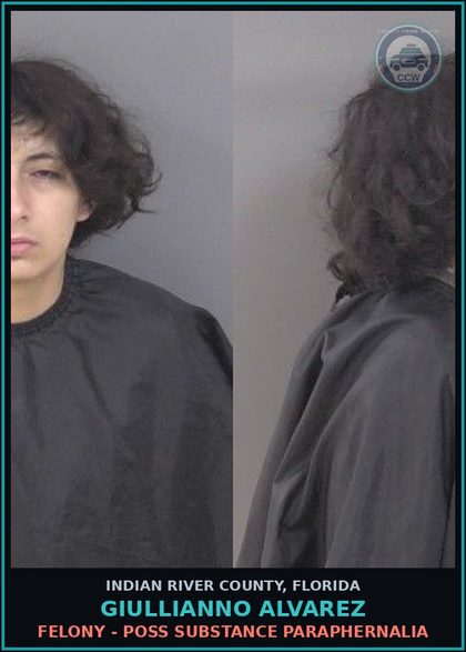 CCW arrest card for Giullianno Alvarez in Indian River County: SMUGGLE CONTRABAND CTRL SUB s.893.02(4) COUNTY DETENTION FACILITY