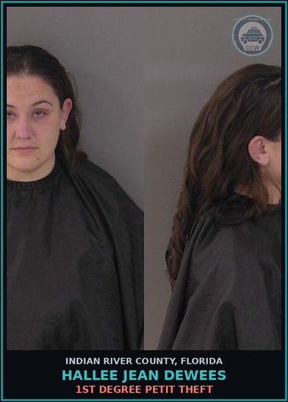 CCW arrest card for Hallee Jean Dewees in Indian River County: 1ST DEGREE PETIT THEFT