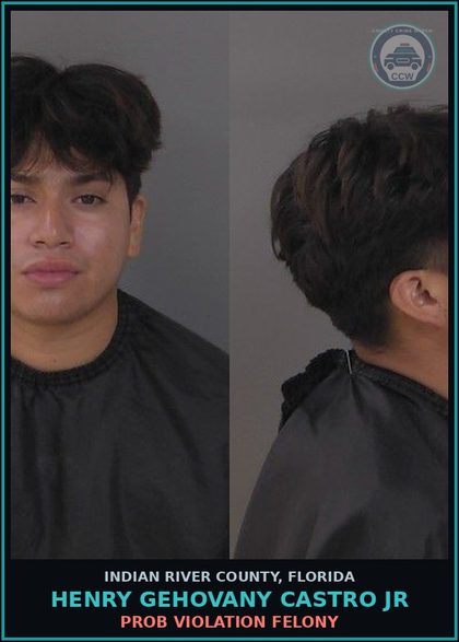 CCW arrest card for Henry Gehovany Castro Jr in Indian River County: DUI DAMAGE TO PROPERTY OR PERSON OF ANOTHER