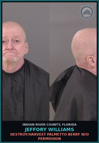 CCW arrest card for Jeffory Williams in Indian River County: DESTROY/HARVEST PALMETTO BERRY W/O PERMISSION