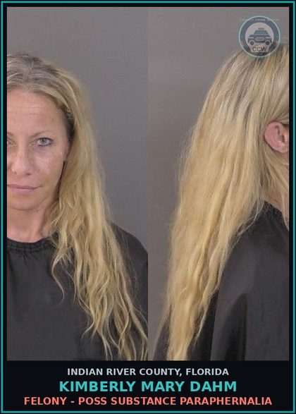 CCW arrest card for Kimberly Mary Dahm in Indian River County: ENGAGE COMMIT OFFER Prosti 1ST VIOL