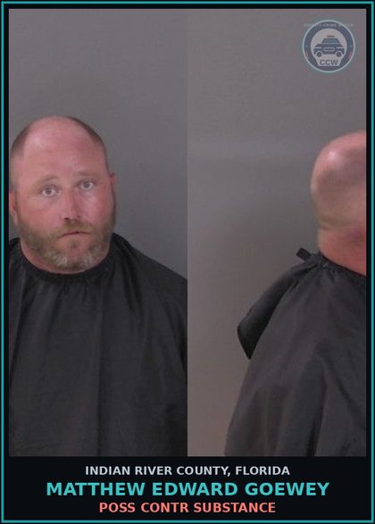 CCW arrest card for Matthew Edward Goewey in Indian River County: POSS contr substance