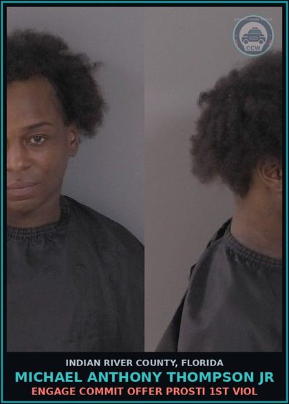 CCW arrest card for Michael Anthony Thompson Jr in Indian River County: ENGAGE COMMIT OFFER Prosti 1ST VIOL