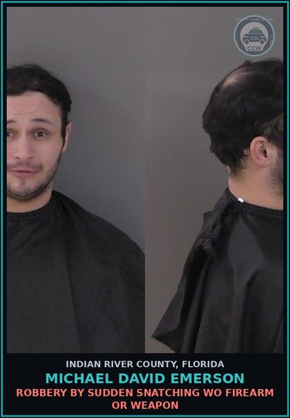 CCW arrest card for MICHAEL DAVID EMERSON in Indian River County: ROBBERY BY SUDDEN SNATCHING WO FIREARM OR WEAPON