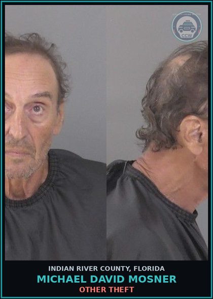CCW arrest card for Michael David Mosner in Indian River County: OTHER THEFT