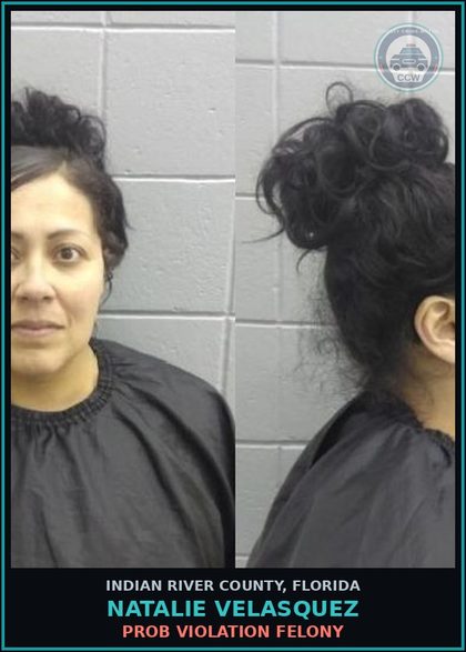 CCW arrest card for Natalie Velasquez in Indian River County: PROB VIOLATION FELONY