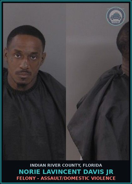 CCW arrest card for Norie Lavincent Davis Jr in Indian River County: Felony - Assault/Domestic Violence
