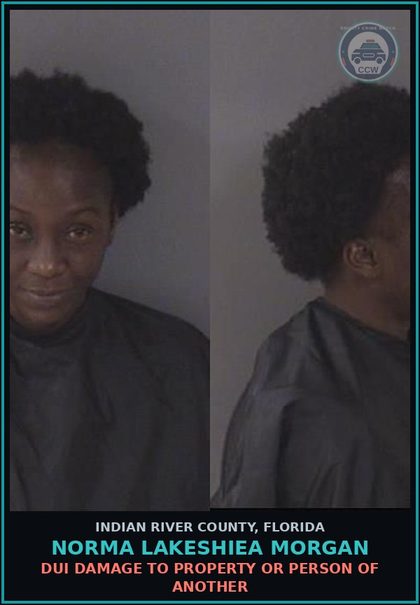CCW arrest card for NORMA LAKESHIEA MORGAN in Indian River County: DUI DAMAGE TO PROPERTY OR PERSON OF ANOTHER