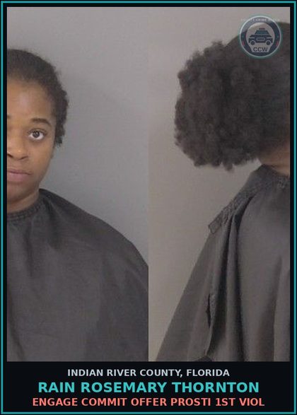 CCW arrest card for Rain Rosemary Thornton in Indian River County: ENGAGE COMMIT OFFER Prosti 1ST VIOL