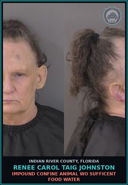 CCW arrest card for Renee Carol Taig Johnston in Indian River County: IMPOUND CONFINE ANIMAL WO SUFFICENT FOOD WATER