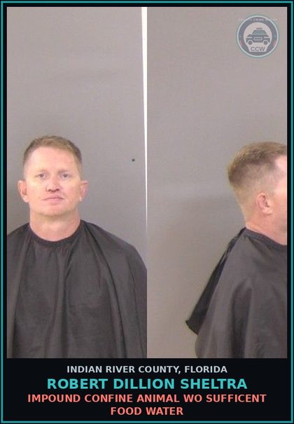 CCW arrest card for Robert Dillion Sheltra in Indian River County: IMPOUND CONFINE ANIMAL WO SUFFICENT FOOD WATER
