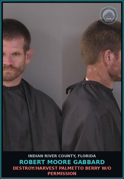 CCW arrest card for Robert Moore Gabbard in Indian River County: DESTROY/HARVEST PALMETTO BERRY W/O PERMISSION