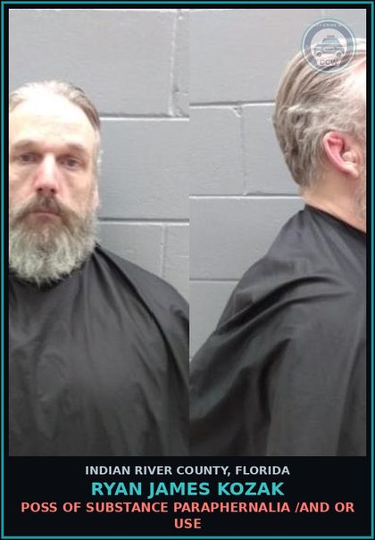 CCW arrest card for Ryan James Kozak in Indian River County: 1ST DEGREE PETIT THEFT
