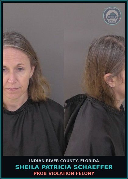 CCW arrest card for Sheila Patricia Schaeffer in Indian River County: PROB VIOLATION FELONY