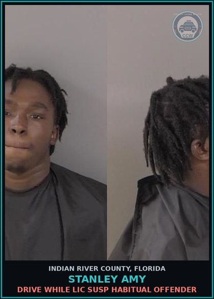 CCW arrest card for Stanley Amy in Indian River County: DRIVE WHILE LIC SUSP HABITUAL OFFENDER