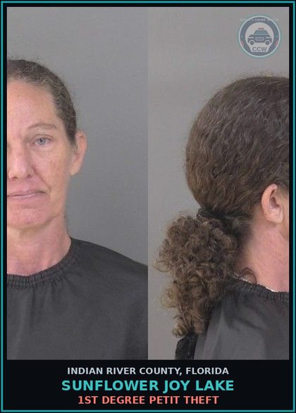 CCW arrest card for Sunflower Joy Lake in Indian River County: 1ST DEGREE PETIT THEFT
