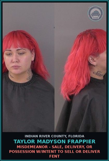 CCW arrest card for Taylor Madyson Frappier in Indian River County: Misdemeanor - Sale, Delivery, Or Possession W/Intent to Sell or Deliver Fent