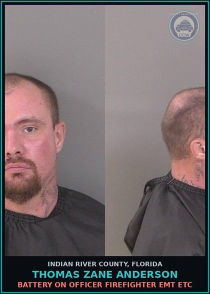 CCW arrest card for Thomas Zane Anderson in Indian River County: 2ND DEGREE PETIT THEFT