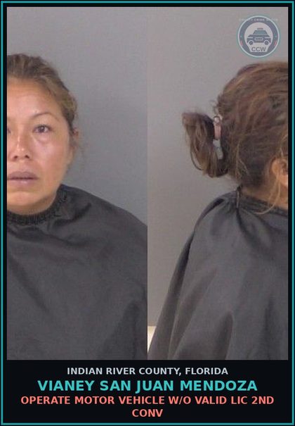 CCW arrest card for Vianey San Juan Mendoza in Indian River County: OPERATE MOTOR VEHICLE W/O VALID LIC 2ND CONV