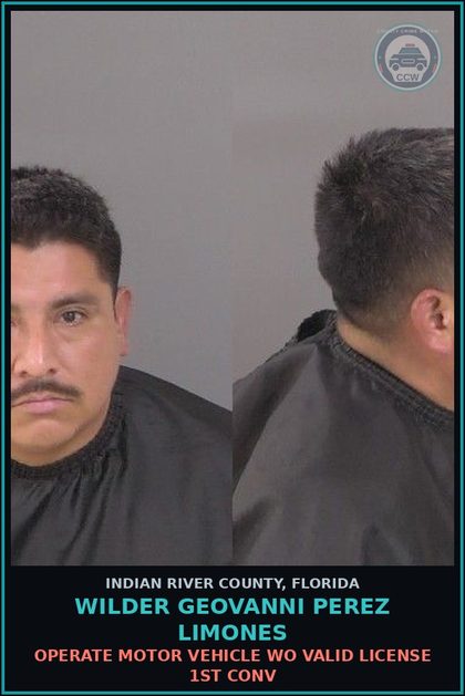 CCW arrest card for Wilder Geovanni Perez Limones in Indian River County: OPERATE MOTOR VEHICLE WO VALID LICENSE 1ST CONV