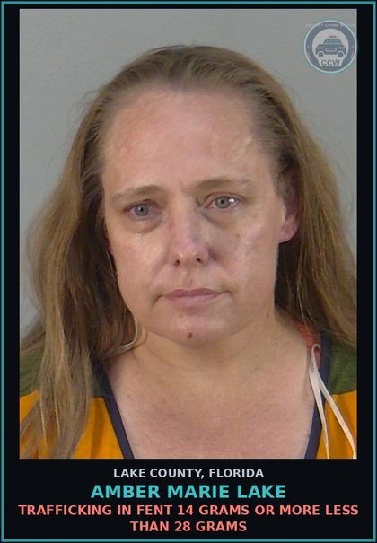 CCW arrest card for AMBER MARIE LAKE in Lake County: TRAFFICKING IN Fent 14 GRAMS OR MORE LESS THAN 28 GRAMS