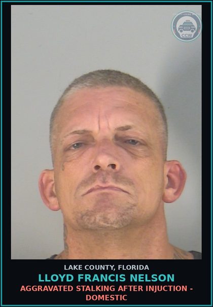 CCW arrest card for LLOYD FRANCIS NELSON in Lake County: AGGRAVATED STALKING AFTER INJUCTION - DOMESTIC