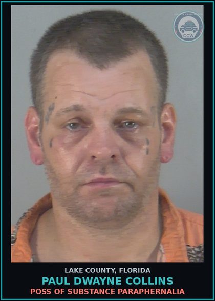 CCW arrest card for PAUL DWAYNE COLLINS in Lake County: TRAFFIC METH MORE THAN 28 G