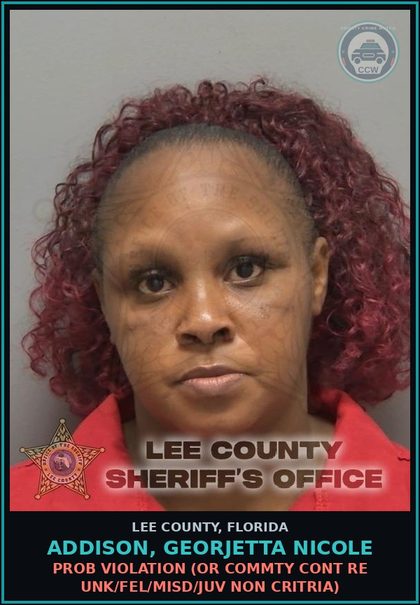 CCW arrest card for ADDISON, GEORJETTA NICOLE in Lee County: PROB VIOLATION  (OR COMMTY CONT RE UNK/FEL/MISD/JUV NON CRITRIA)