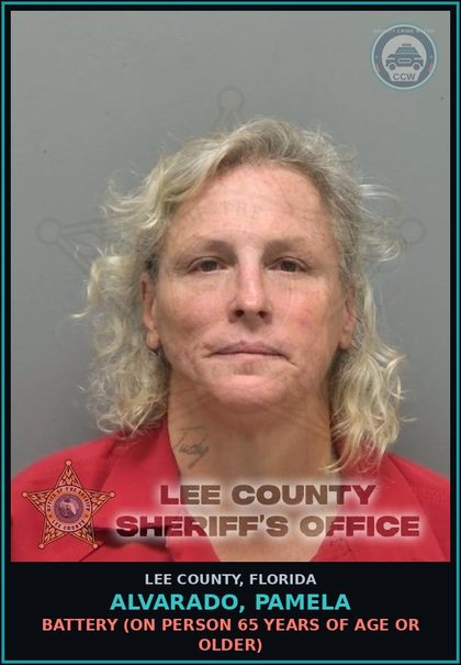 CCW arrest card for ALVARADO, PAMELA in Lee County: BATTERY  (ON PERSON 65 YEARS OF AGE OR OLDER)
