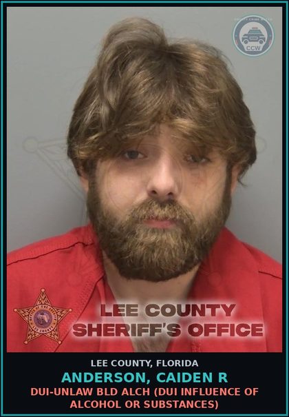 CCW arrest card for ANDERSON, CAIDEN R in Lee County: DUI-UNLAW BLD ALCH  (DUI INFLUENCE OF ALCOHOL OR DRUGS)