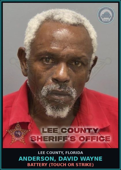 CCW arrest card for ANDERSON, DAVID WAYNE in Lee County: BATTERY  (TOUCH OR STRIKE)