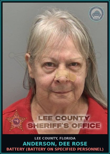 CCW arrest card for ANDERSON, DEE ROSE in Lee County: BATTERY  (BATTERY ON SPECIFIED PERSONNEL)