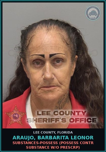 CCW arrest card for ARAUJO, BARBARITA LEONOR in Lee County: DRUGS-POSSESS  (POSSESS contr substance W/O PRESCRIPTION)
