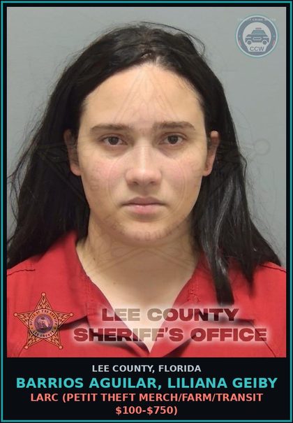 CCW arrest card for BARRIOS AGUILAR, LILIANA GEIBY in Lee County: LARC  (PETIT THEFT MERCH/FARM/TRANSIT $100-$750)