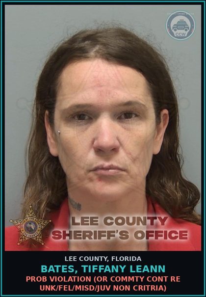 CCW arrest card for BATES, TIFFANY LEANN in Lee County: PROB VIOLATION  (OR COMMTY CONT RE UNK/FEL/MISD/JUV NON CRITRIA)