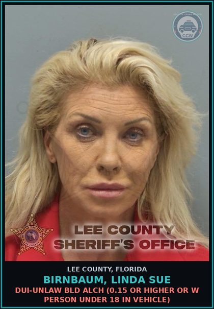 CCW arrest card for BIRNBAUM, LINDA SUE in Lee County: DUI-UNLAW BLD ALCH  (0.15 OR HIGHER OR W PERSON UNDER 18 IN VEHICLE)