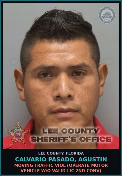 CCW arrest card for CALVARIO PASADO, AGUSTIN in Lee County: MOVING TRAFFIC VIOL  (OPERATE MOTOR VEHICLE W/O VALID LIC 2ND CONV)
