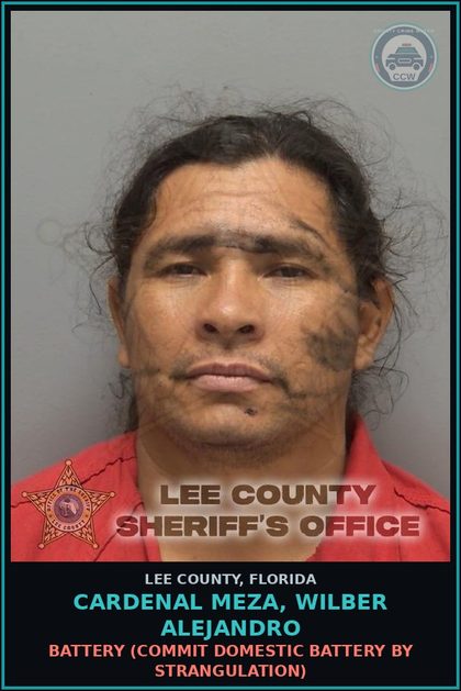 CCW arrest card for CARDENAL MEZA, WILBER ALEJANDRO in Lee County: BATTERY  (COMMIT DOMESTIC BATTERY BY STRANGULATION)