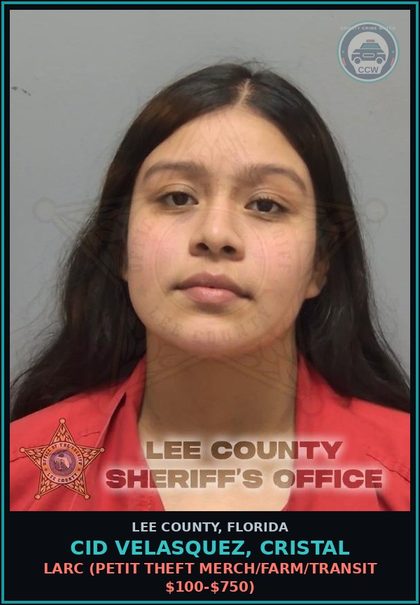 CCW arrest card for CID VELASQUEZ, CRISTAL in Lee County: LARC  (PETIT THEFT MERCH/FARM/TRANSIT $100-$750)