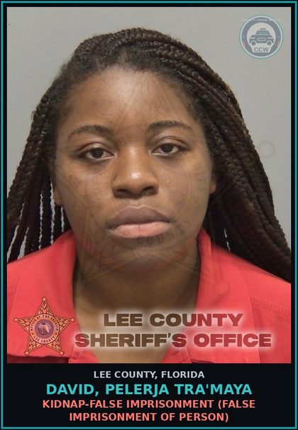 CCW arrest card for DAVID, PELERJA TRA'MAYA in Lee County: KIDNAP-FALSE IMPRISONMENT  (FALSE IMPRISONMENT OF PERSON)