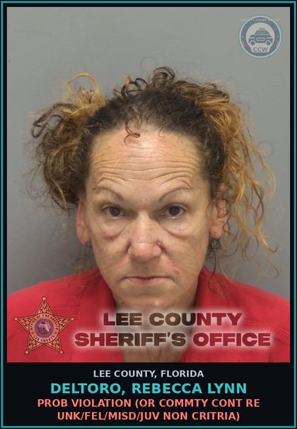 CCW arrest card for DELTORO, REBECCA LYNN in Lee County: PROB VIOLATION  (OR COMMTY CONT RE UNK/FEL/MISD/JUV NON CRITRIA)