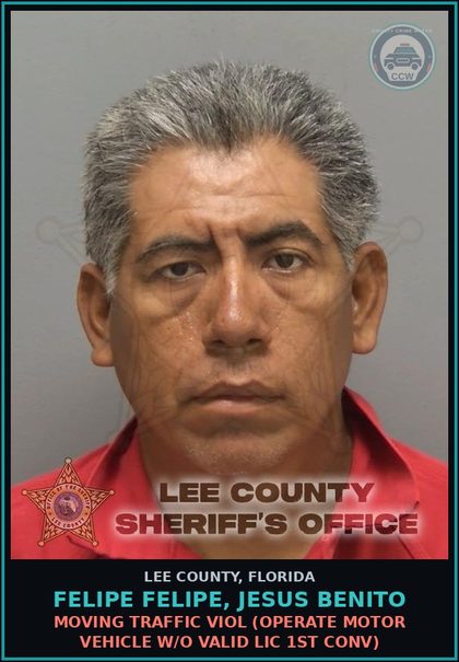 CCW arrest card for FELIPE FELIPE, JESUS BENITO in Lee County: MOVING TRAFFIC VIOL  (OPERATE MOTOR VEHICLE W/O VALID LIC 1ST CONV)