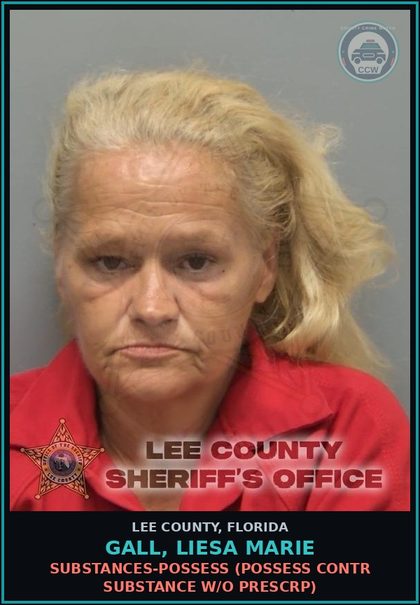 CCW arrest card for GALL, LIESA MARIE in Lee County: DRUGS-POSSESS  (POSSESS contr substance W/O PRESCRIPTION)