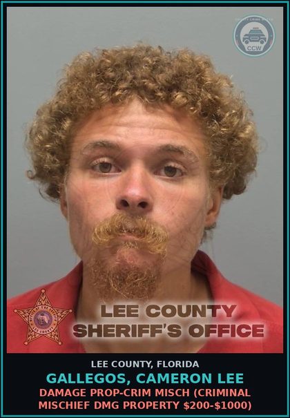CCW arrest card for GALLEGOS, CAMERON LEE in Lee County: DAMAGE PROP-CRIM MISCH  (CRIMINAL MISCHIEF DMG PROPERTY $200-$1000)