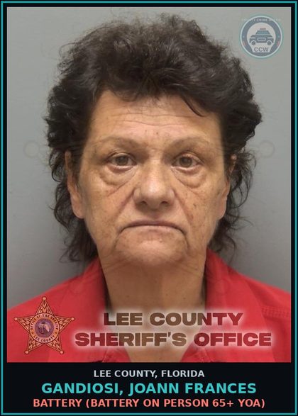 CCW arrest card for GANDIOSI, JOANN FRANCES in Lee County: BATTERY  (BATTERY ON PERSON 65+ YOA)