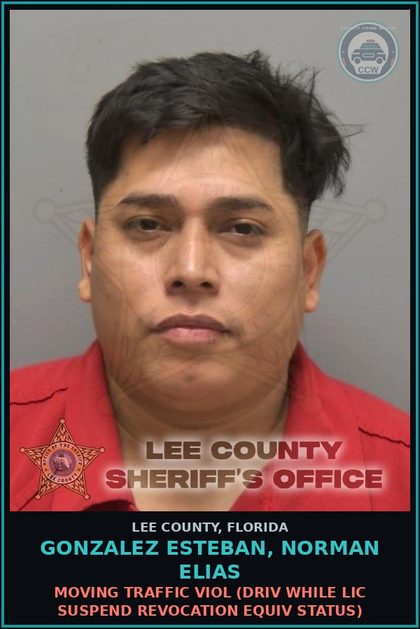 CCW arrest card for GONZALEZ ESTEBAN, NORMAN ELIAS in Lee County: MOVING TRAFFIC VIOL  (DRIV WHILE LIC SUSPEND REVOCATION EQUIV STATUS)