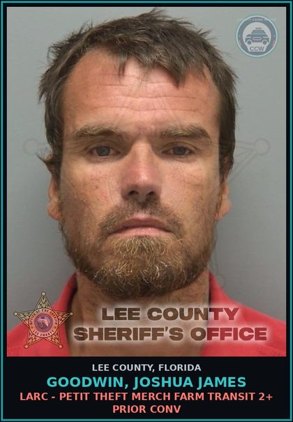 CCW arrest card for GOODWIN, JOSHUA JAMES in Lee County: LARC - PETIT THEFT MERCH FARM TRANSIT 2+ PRIOR CONV