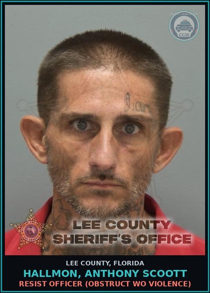 CCW arrest card for HALLMON, ANTHONY SCOOTT in Lee County: DRUGS-POSSESS  (POSSESS contr substance W/O PRESCRIPTION)