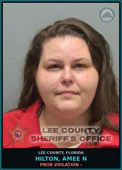 CCW arrest card for HILTON, AMEE N in Lee County: PROB VIOLATION -